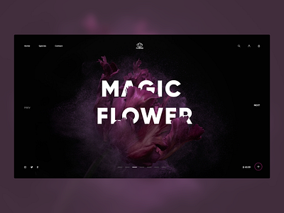 Magic Flower design flower illustration logo minimal typography ui ux web website