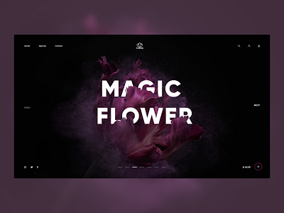 Magic Flower