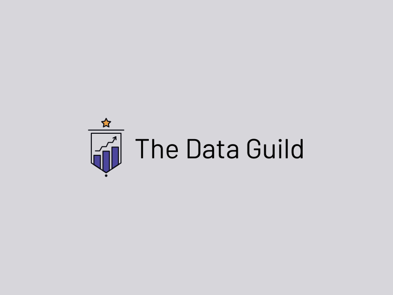 The Data Guild by Thaira Bouhid on Dribbble