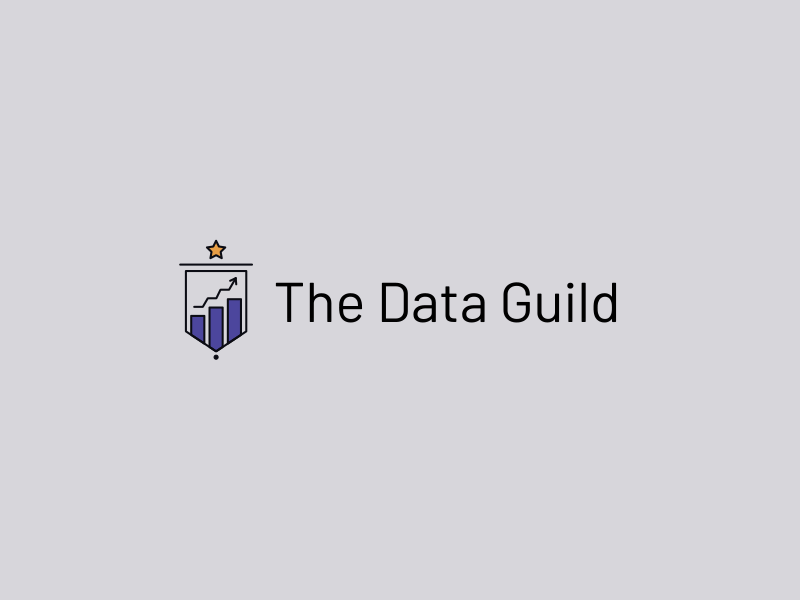 The Data Guild animation logo