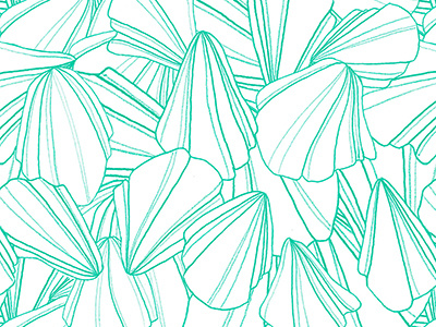 Seashells Print hand drawing illustration line drawing pattern print