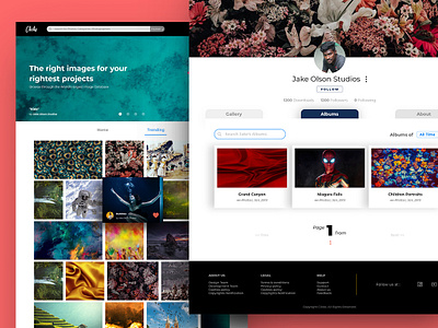 Clicks - A social network for Photographers animation design ui ux web website