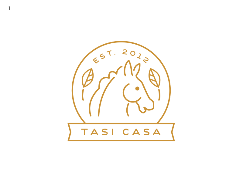 Dribbble tasi
