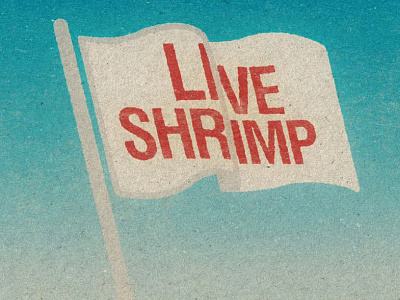 Live Shrimp! branding graphic design identity illustration logo design