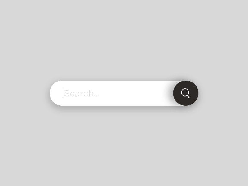 Search Bar brand icon identity minimal search search bar shadow simple symbol type ui ux