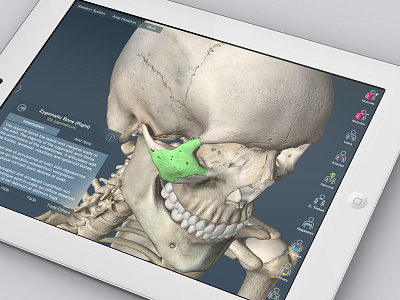 Sneak Peak! - iOS7 makeover anatomy blur ios7 makeover medical ui usability ux