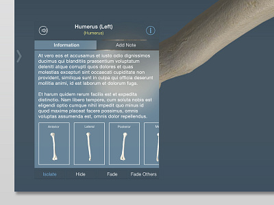 Info Popover - check attachment for full screen! 3d anatomy ios7 ipad makeover medical popover thumbnails ui ux
