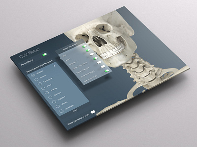 Quiz Setup - and the project is finally done! anatomy humanbody ios7 ipad makeover medical quiz setup