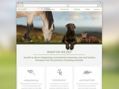 Acuvet - an old project revisited animals design parallax veterinary web