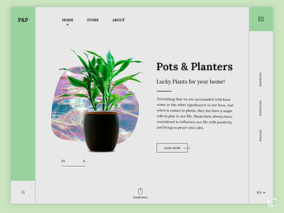 Pots and plants shop