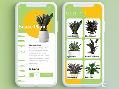 Plant shop 2019 app app design appdesign clean creative design green minimal orange plant plant app shop typography ui uiux ux web