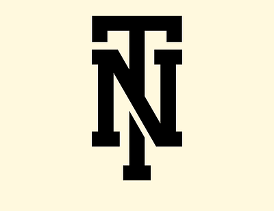NT Monogram logo branding branding and identity branding concept clean logo design graphic design graphic design logo logo logo design modern design monogram monogram logo typeface