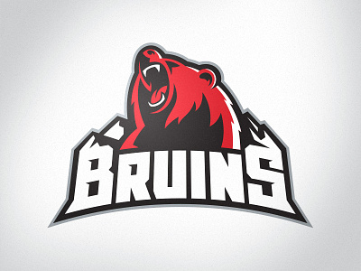Missoula Bruins NA3HL Primary Logo bear branding bruins hockey logo mountains sports branding sports logo