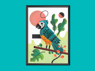 Parrot animal design illustration illustrator leaves minimal nature parrot