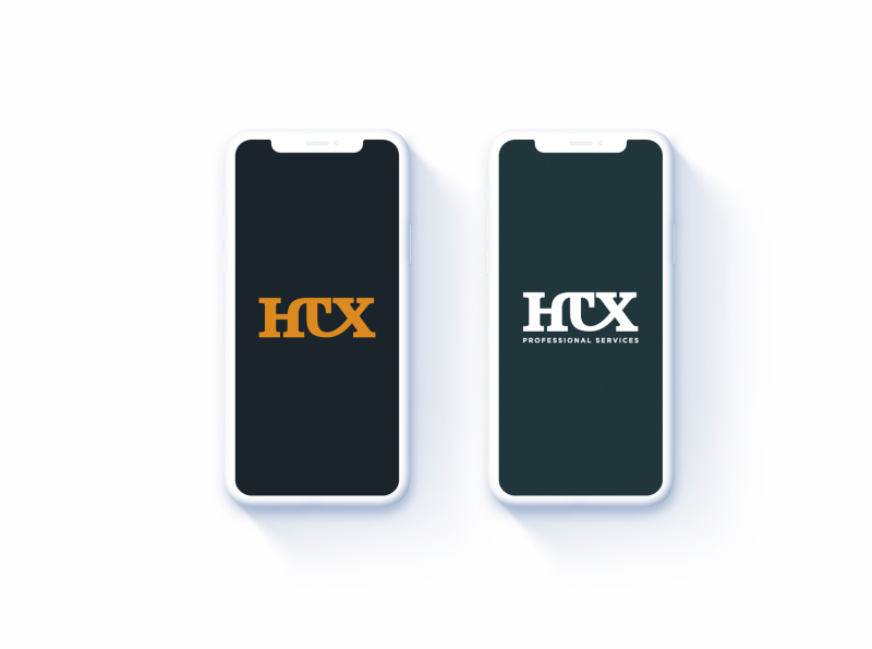 HTX Professional Services Logo Design by Graphicever on Dribbble