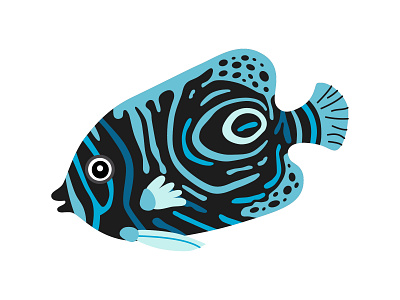 Emperor angelfish. Cartoon characters animal brazil design emperor angelfish exotic fish illustration tropic vector illustration
