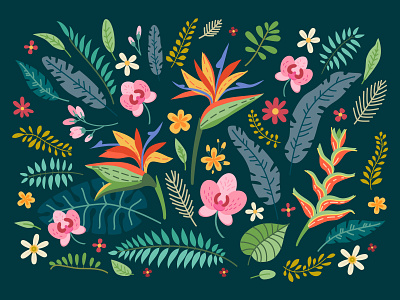 Tropic flowers. africa brazil design exotic forest illustration tropic vector illustration