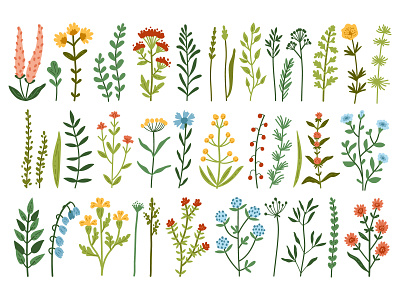 Wild meadow flowers. Herbs. Poster