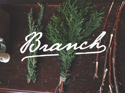 Branch