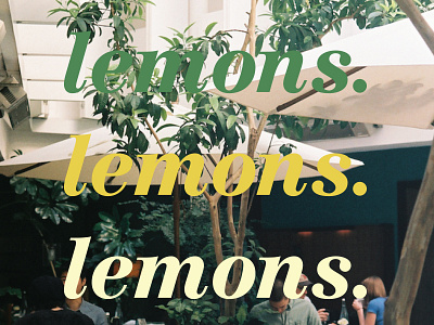 Lemons. branding design identity design typography