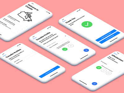 Canadian eDeclaration App Redesign customs design government ios travel ui ux
