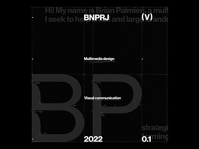 BP—VI™ art direction brand identity branding branding design design feed geometry vector