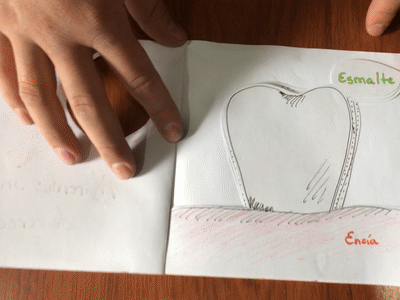 Tooth: layered book book education illustration layer paper prototype