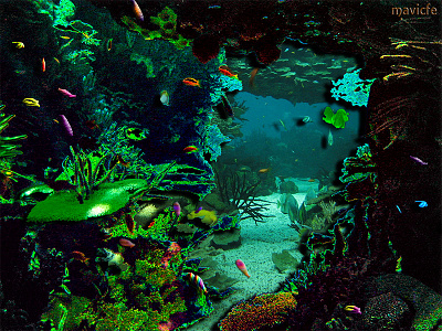 Colorful Seabed