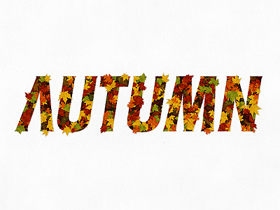 Autumn autumn coffee made me do it leaves simon ålander texture typography