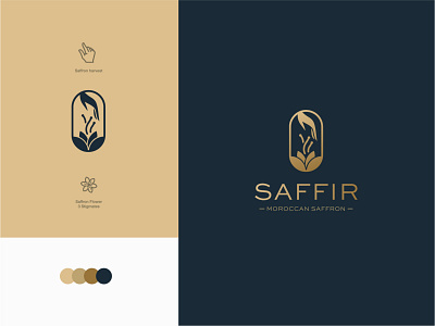 Saffir brand case strategy brand brand identity branding chief flavour food harvest harvest hand logo luxury luxury brand moroccan premium saffron saffron spices stigmatise tasty