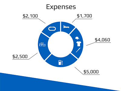 Fundraising Campaign Chart driver expenses indiegogo infographic minimal nascar pie chart racing
