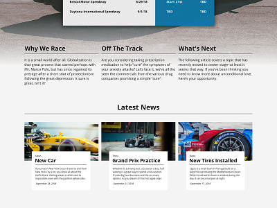 Racecar Driver Full Page banners blue branding car clean design designer development fast minimalism racing webpage