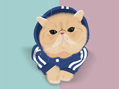 Dennis the Cat cat hoodie illustration pink stippling teal