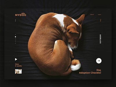 Day11 — MyDog concept dailyui design dogs kvpavlov ui uiux ux website