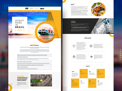 Quality Made in Brazil Landing Page design landing page landing page design ui ux