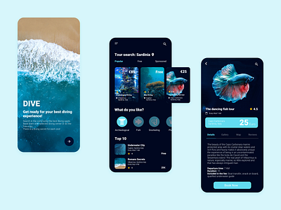 Diving Mobile App app design mobile travel ui