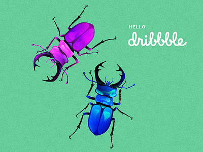 Hello Dribbble! bugs creative direction design dribbble hello hello dribbble illustration insects vector