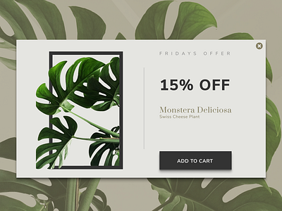 Daily UI 036 Special Offer 036 add to basket add to cart app dailyui deal design eamil ecommerce email offer green monstera plant popup product card single product special offer ui ux web