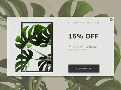 Daily UI 036 Special Offer