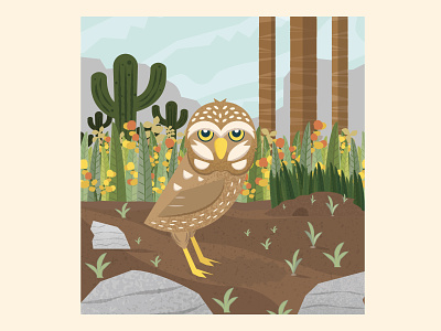 Burrowing Owl animal bird burrowing owl forest graphic design habitat illustration illustrator owl scenery vector