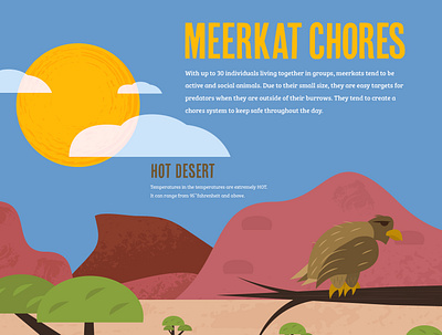 Infographic Illustration desert design eagle exhibit design graphic design illustration meerkat tawny eagle zoo