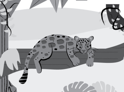 Clouded Leopard animal cat clouded leopard illustration illustrator leopard wild cat