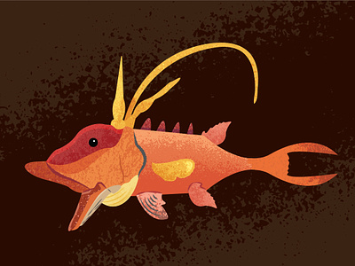 Hogfish ai branding fish fishing hogfish illustration illustrator miami vector