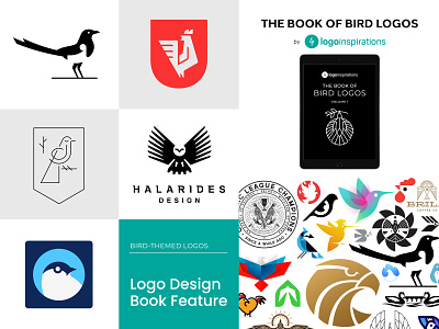 The Book of Bird Logos Feature animal bird book collection feature logo magpie owl rooster