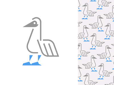 Blue-footed Booby animal beak bird blue booby foot galapagos legs line logo pattern wild