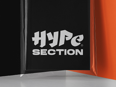 Hype Section V2 culture display graffiti hiphop hype hyper kicks logo logotype nft sneakerheads sneakers street style typography