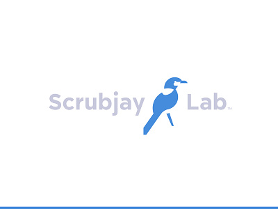 SJL animal bird blue development jay lab logo negative research scrubjay software