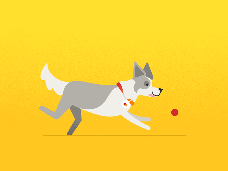 Good boy! 🐶 🔴 animation ball chase cute dog dog good boy looping gif motion graphics run cycle running