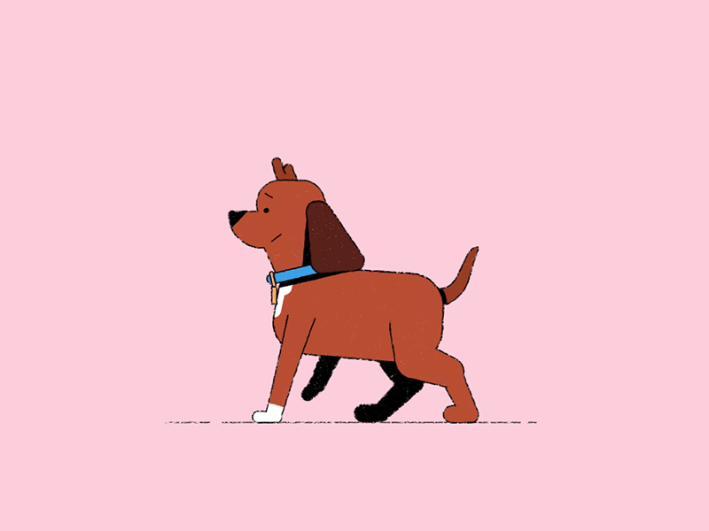 Good boy 🐶 animation character animation cute dog dog walking looping gif loopinggif motion graphics puppy walk walkcycle