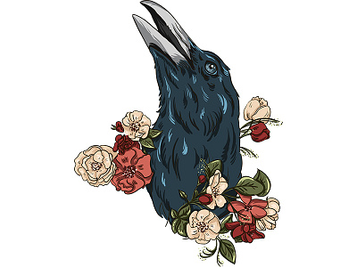 Raven animal character design hoopoe illustration